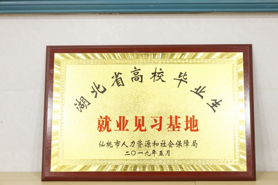 湖北省高校毕业生就业见习基地